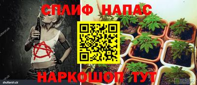 ПСИЛОЦИБИНОВЫЕ ГРИБЫ Рязань