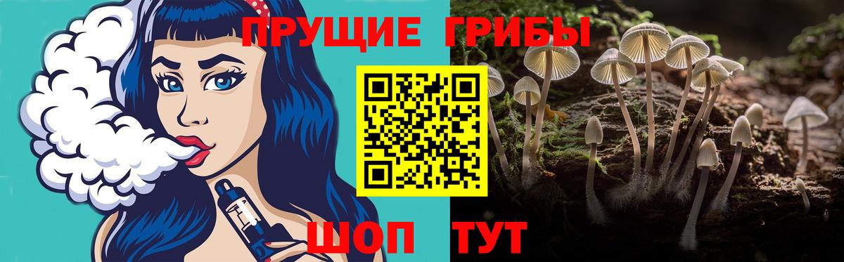 продажа наркотиков  Вход с VPN  Галлюциногенные грибы ЛСД  Кореновск  Галлюциногенные грибы Magic Shrooms 